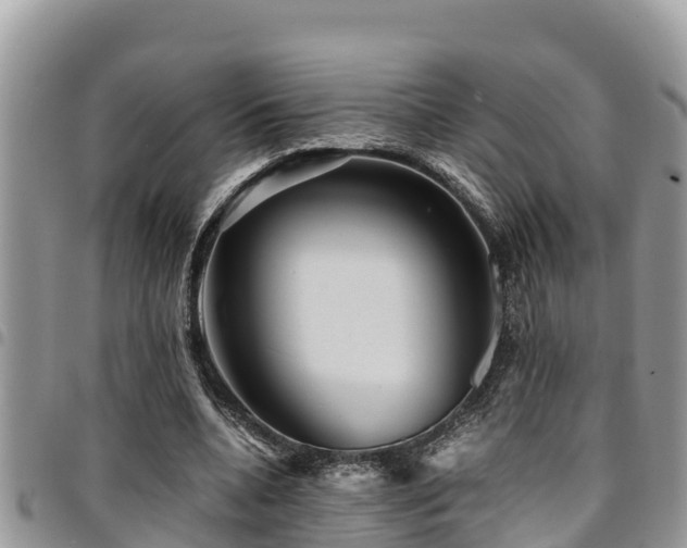 X0000094930536200711291336