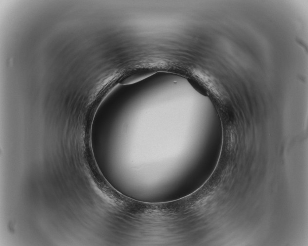 X0000094930538200711291336