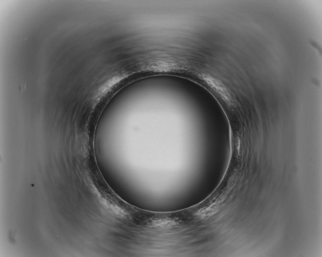 X0000094930540200711291336