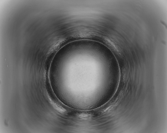 X0000094930542200711291336