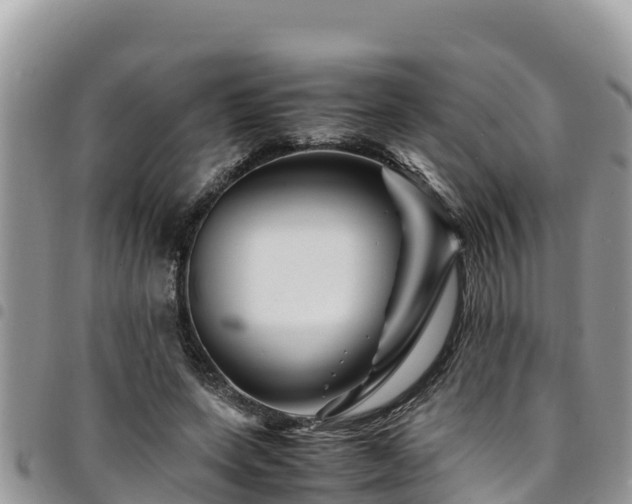 X0000094930543200711291336