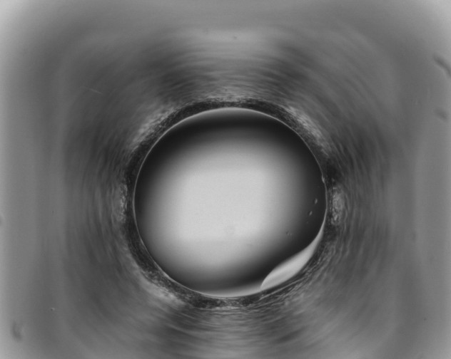 X0000094930544200711291336