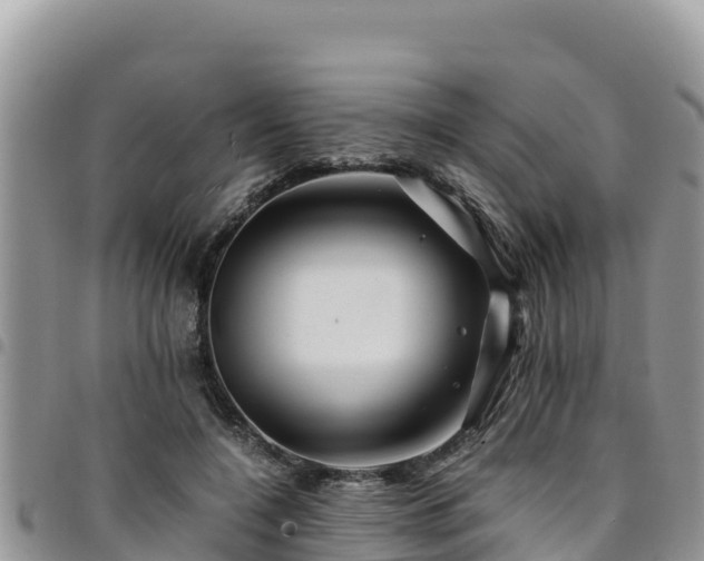 X0000094930548200711291337