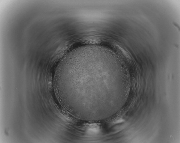 X0000094930553200711291337