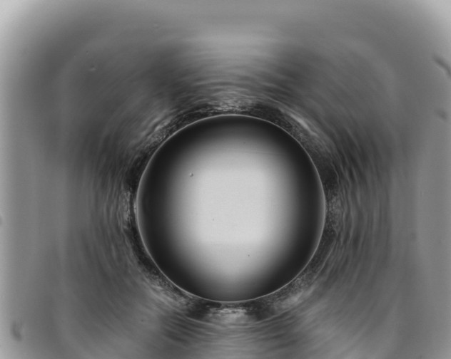 X0000094930554200711291337