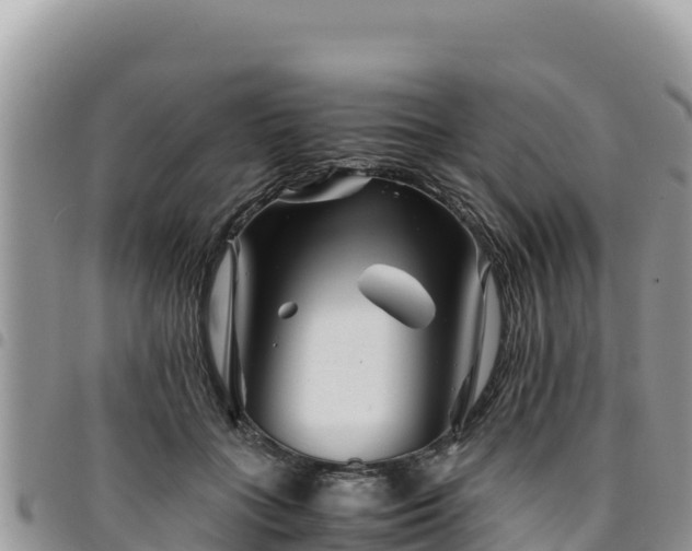 X0000094930555200711291337