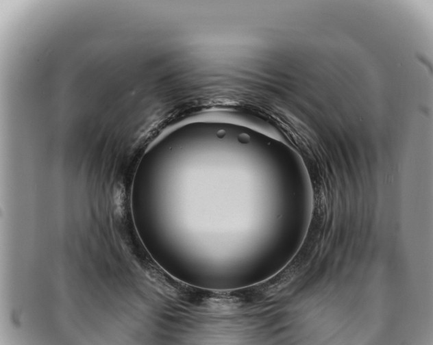 X0000094930556200711291337