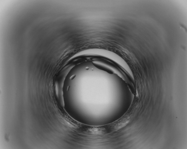 X0000094930558200711291337