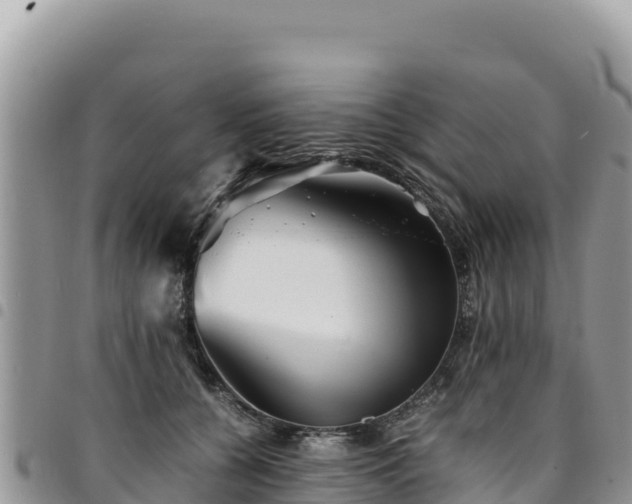 X0000094930560200711291337