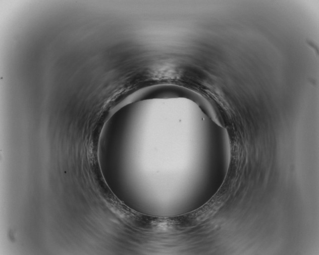 X0000094930564200711291337