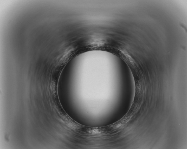 X0000094930565200711291337