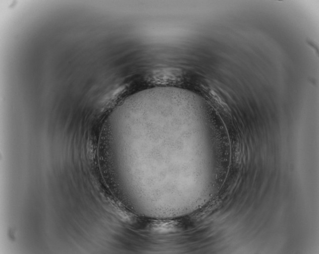 X0000094930569200711291337