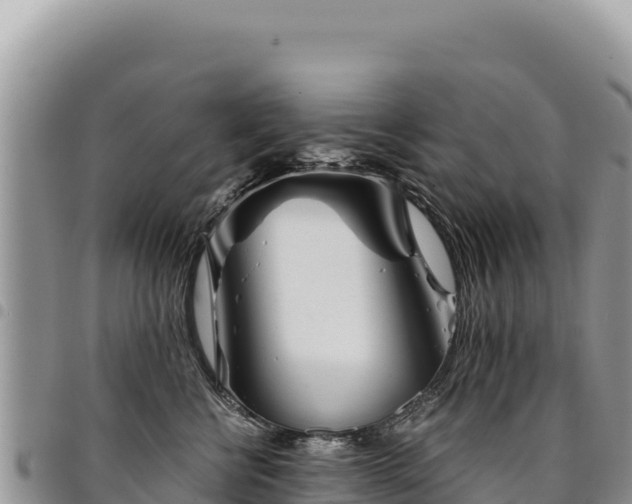 X0000094930570200711291337