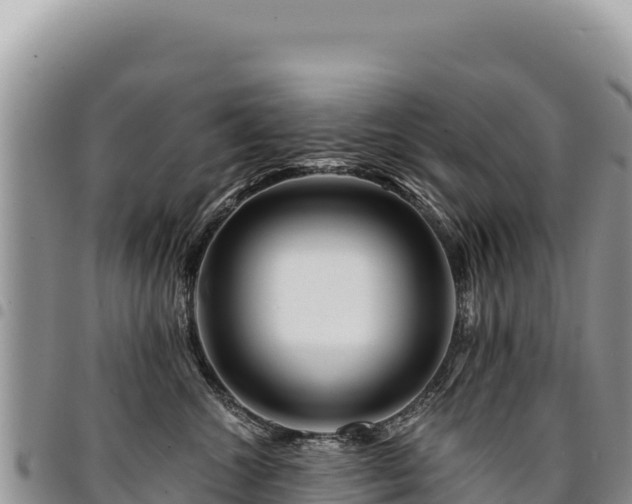 X0000094930572200711291337