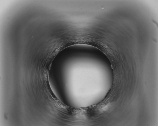 X0000094930576200711291337
