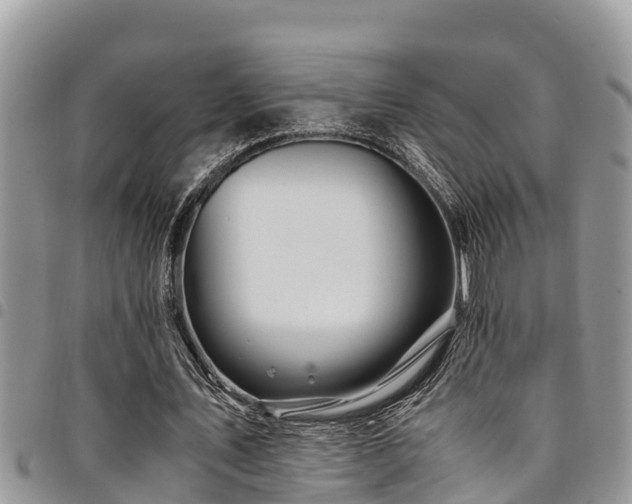 X0000094930579200711291336