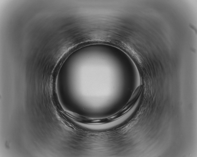 X0000094930580200711291336
