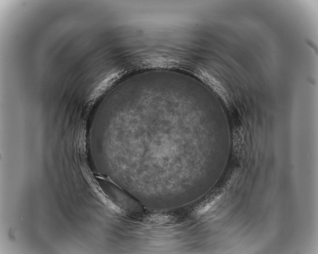 X0000094930581200711291336
