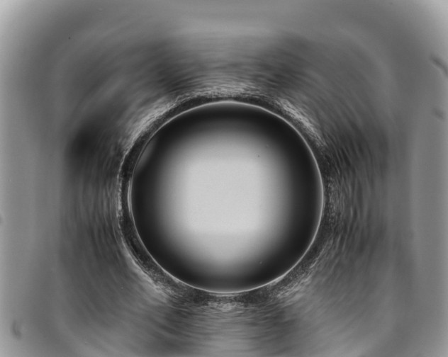 X0000094930582200711291336