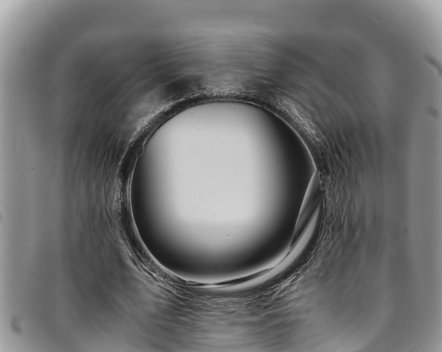 X0000094930583200711291336