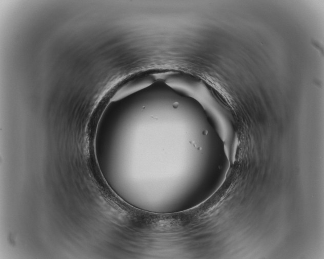 X0000094930584200711291336