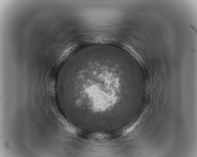 X0000094930585200711291336