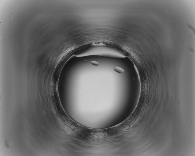 X0000094930587200711291336