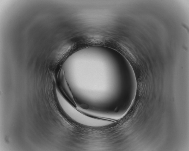 X0000094930593200711291336