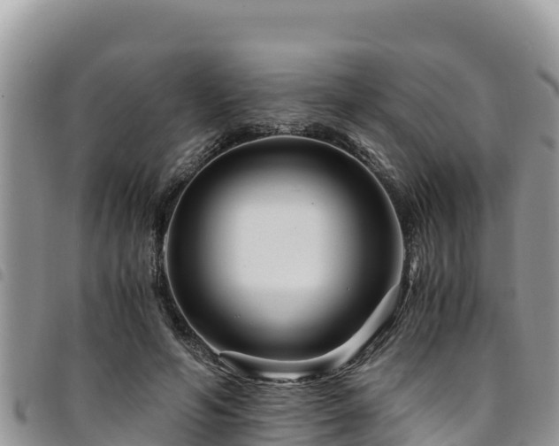 X0000094930594200711291336