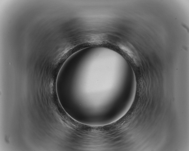 X0000094930596200711291336