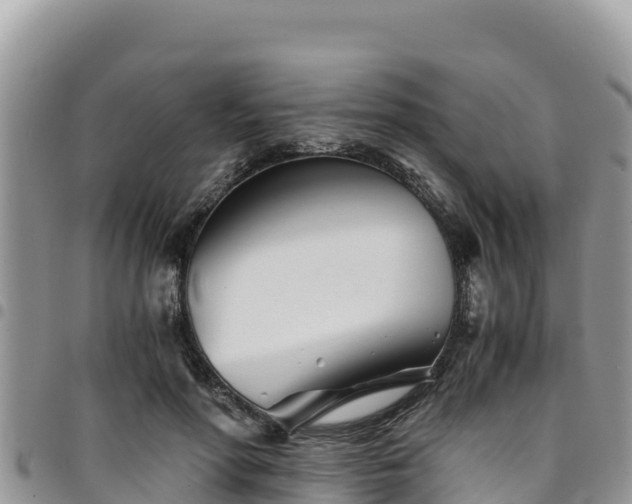 X0000094930598200711291336