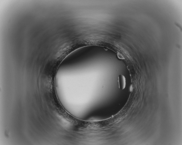 X0000094930599200711291336