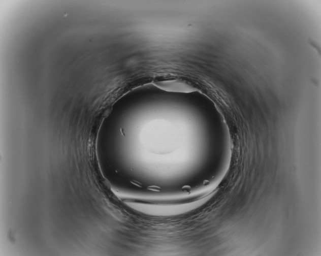 X0000094930601200711291336