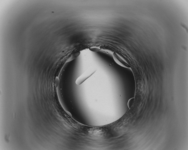 X0000094930602200711291336