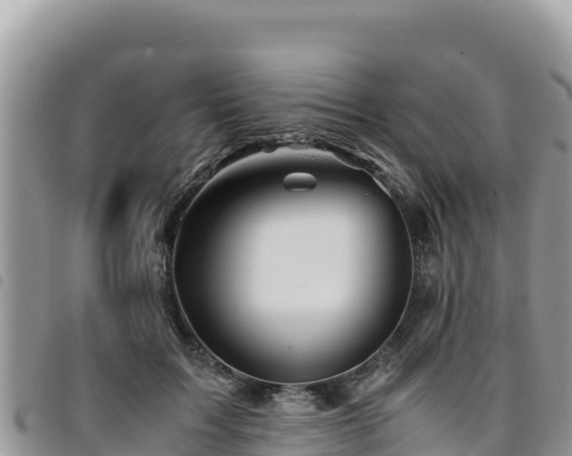 X0000094930603200711291336