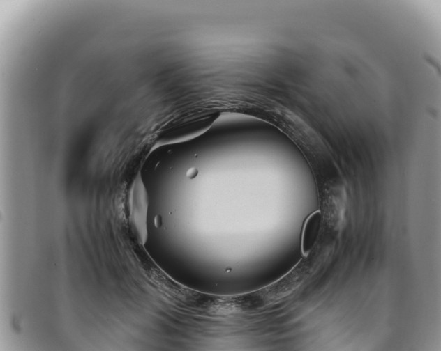 X0000094930604200711291336