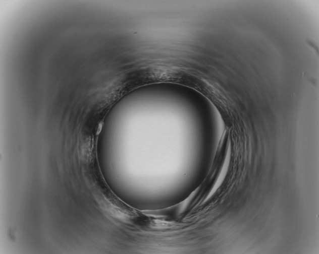 X0000094930605200711291336