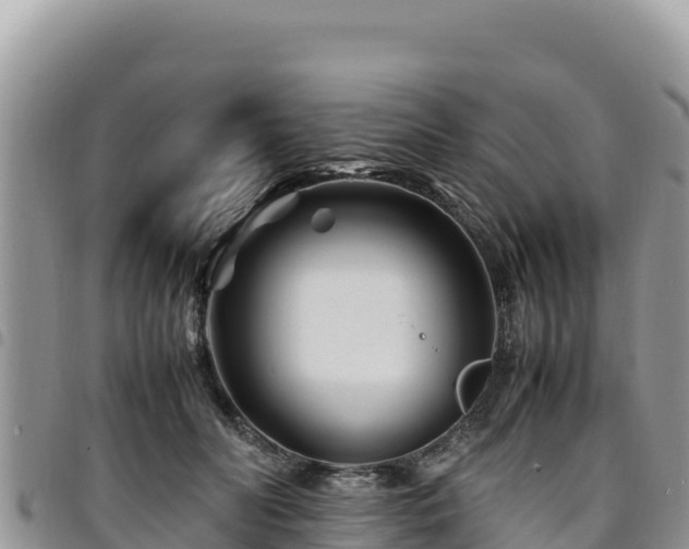 X0000094930606200711291336