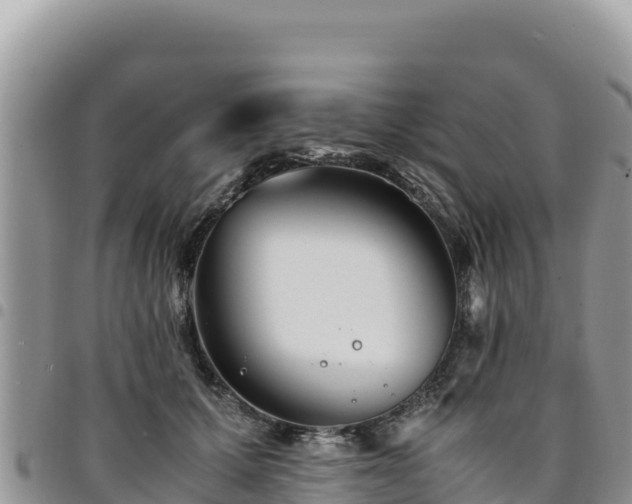 X0000094930607200711291336