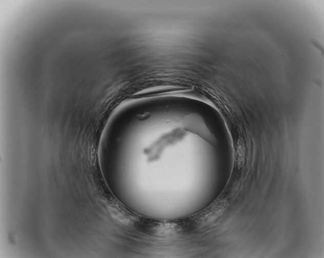 X0000094930609200711291336