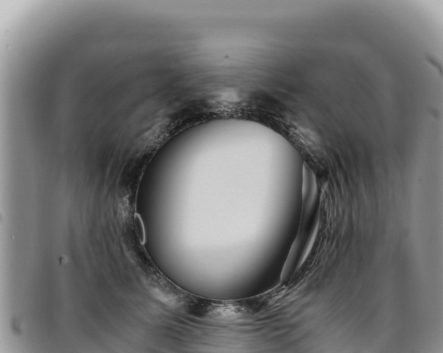 X0000094930611200711291336