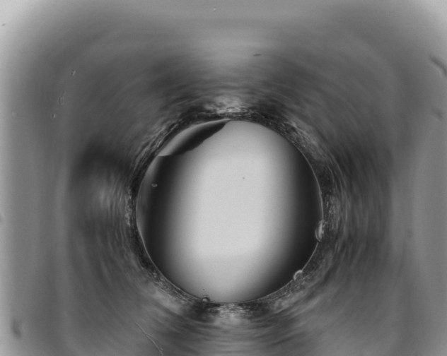 X0000094930612200711291336