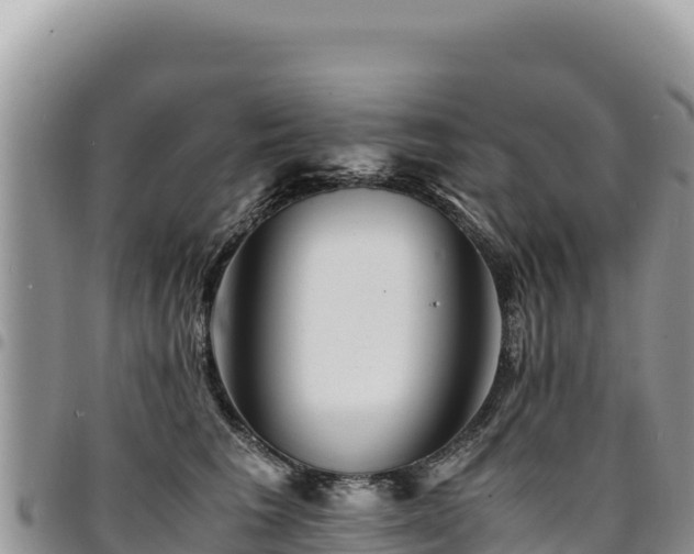 X0000094930613200711291336