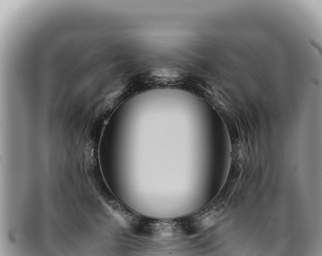 X0000094930615200711291336