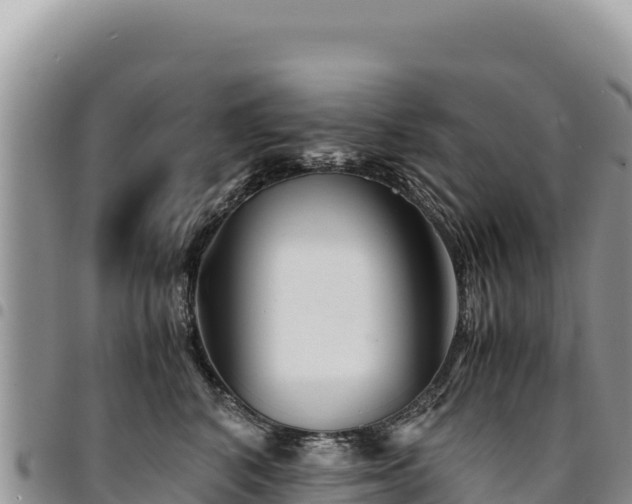 X0000094930616200711291336