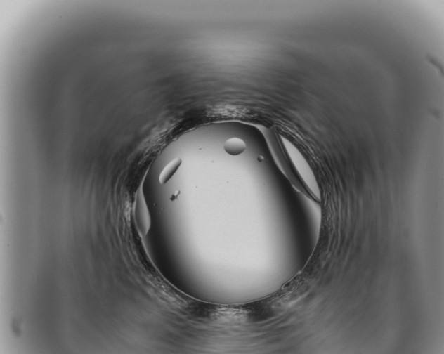 X0000094930617200711291336