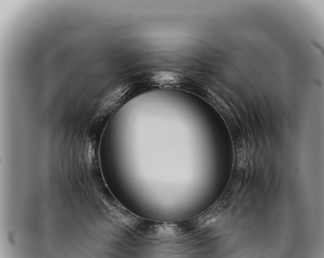 X0000094930618200711291336