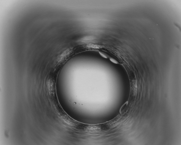 X0000094930619200711291336