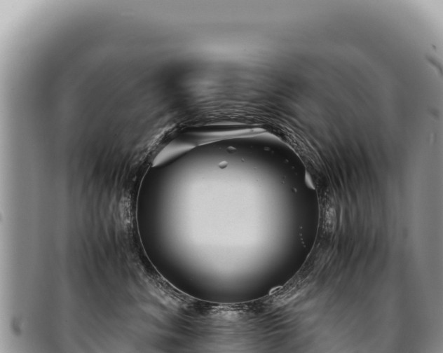 X0000094930620200711291336