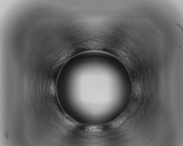 X0000094930622200711291336